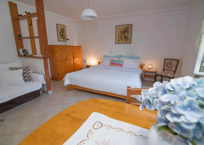 Appartement In 33624