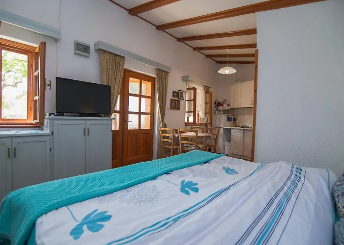 Appartement In 33624