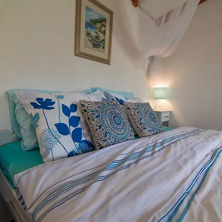 Apartment In 33624