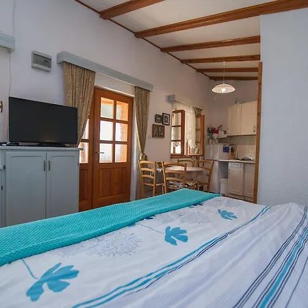 Apartment In 33624